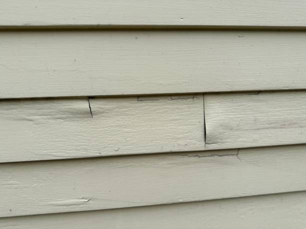 Best Foreclosure Cleanout  in New Albany, MS